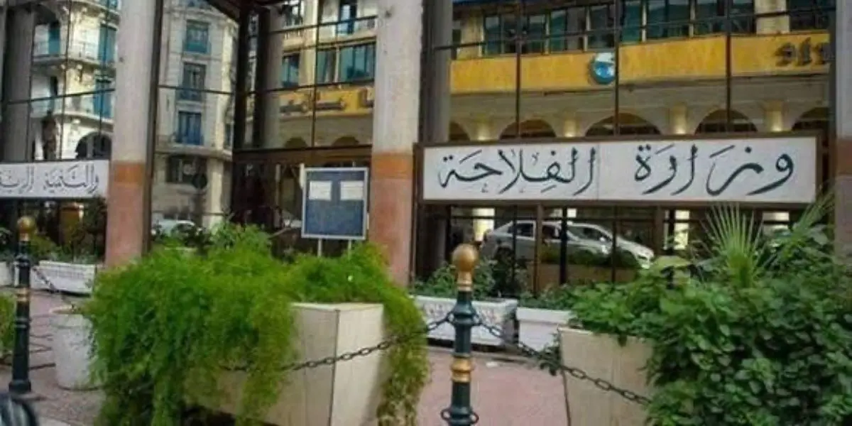 Importation encadrée de bétail : le ministère soutient les éleveurs