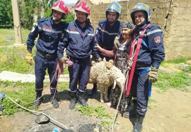 Mouton piégé à 22 mètres sous terre : un sauvetage spectaculaire à Sétif ! [images]
