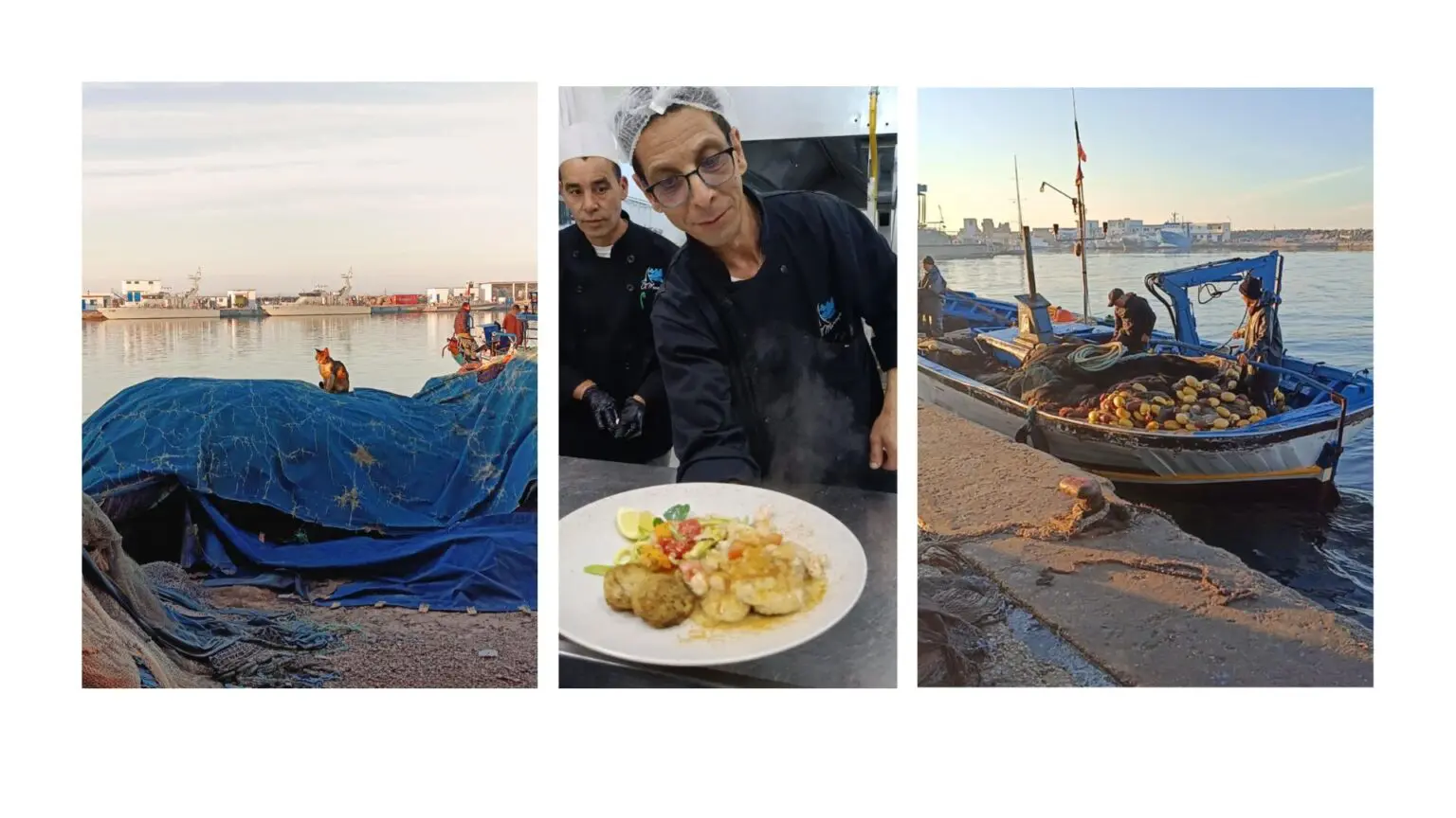 Port de Kélibia : Un festin de la mer orchestré par le chef Gobji