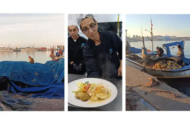 Port de Kélibia : Un festin de la mer orchestré par le chef Gobji