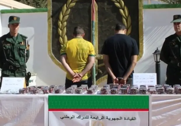 Lutte contre les psychotropes : les autorités saisissent plus de 14 000 capsules