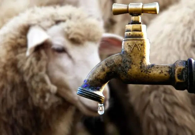 Aid El-Adha 2025 : l’eau sera-t-elle au rendez-vous pour le sacrifice ?