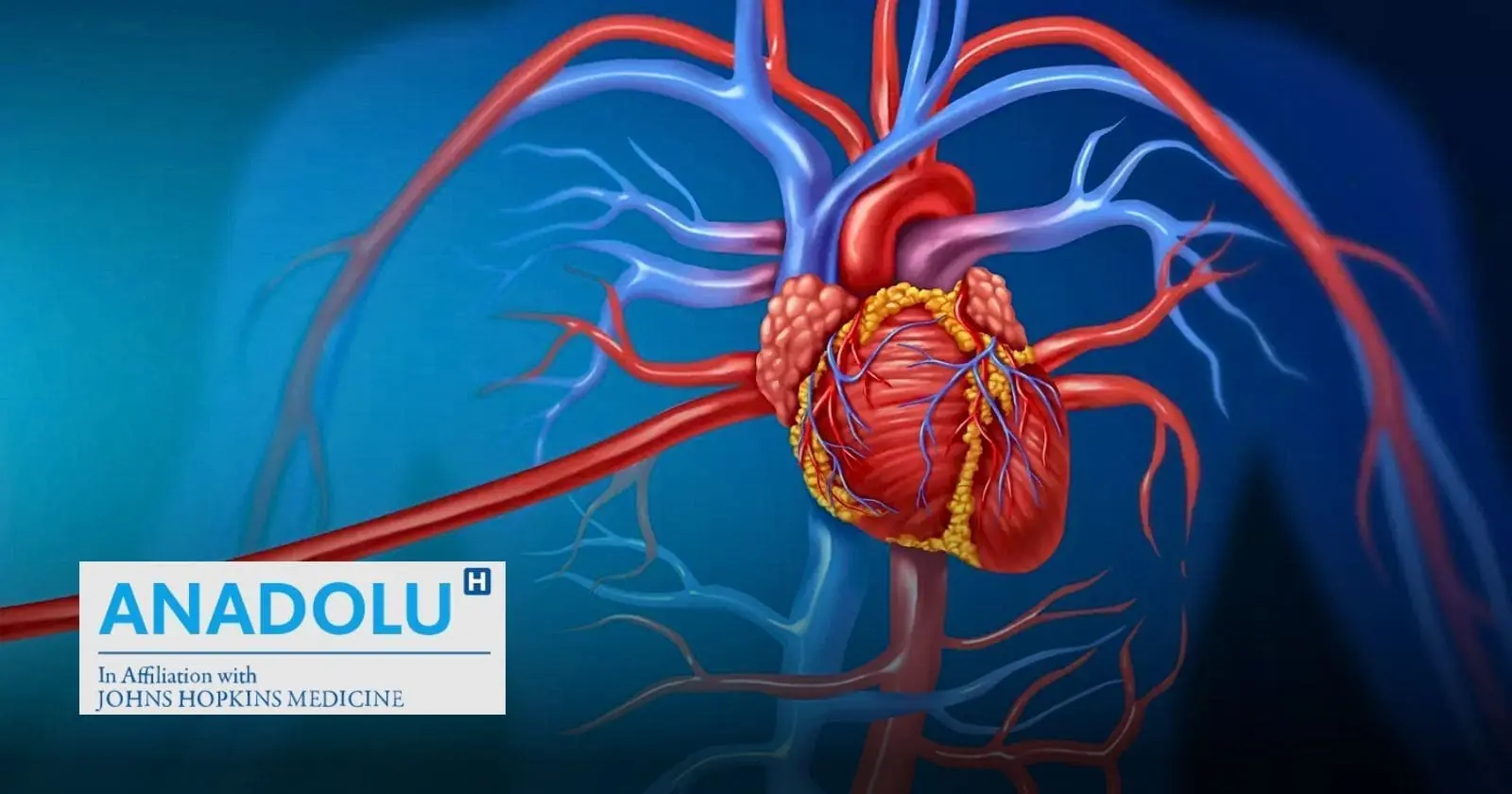 Angioscanner cardiaque : Qui peut bénéficier de cet examen crucial ?