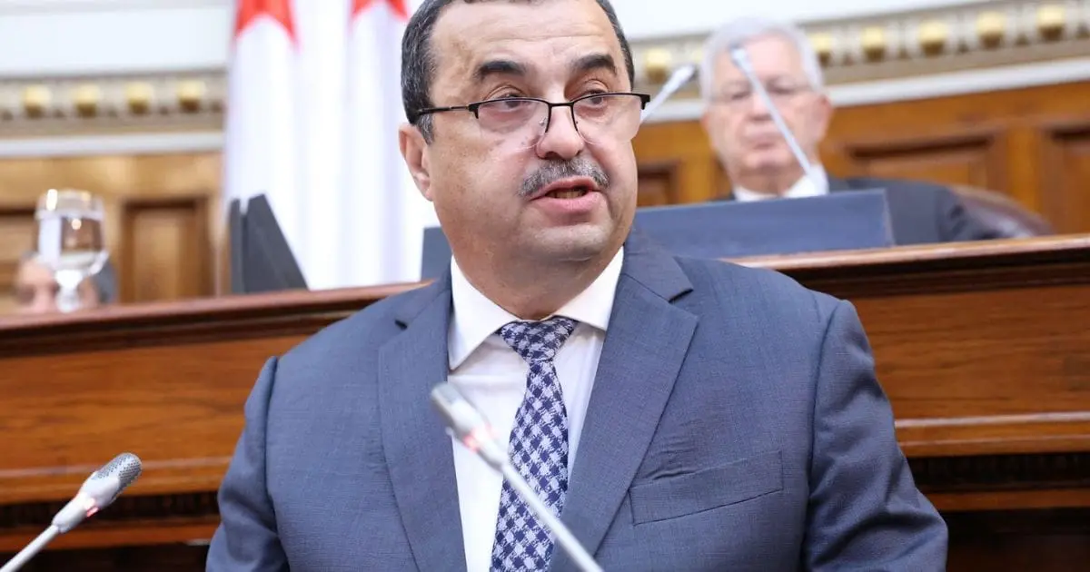  7 milliards $ pour la pétrochimie : Voici les mégaprojets de l’Algérie à l’horizon 2029