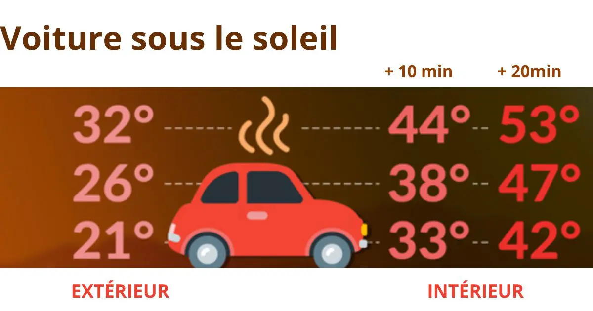 Canicule en Algérie