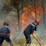 Les incendies s&rsquo;enchaînent en Algérie : une vague de 52 foyers signalés en 24 H dans plusieurs wilayas
