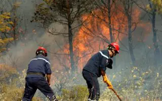 Les incendies s’enchaînent en Algérie : une vague de 52 foyers signalés en 24 H dans plusieurs wilayas