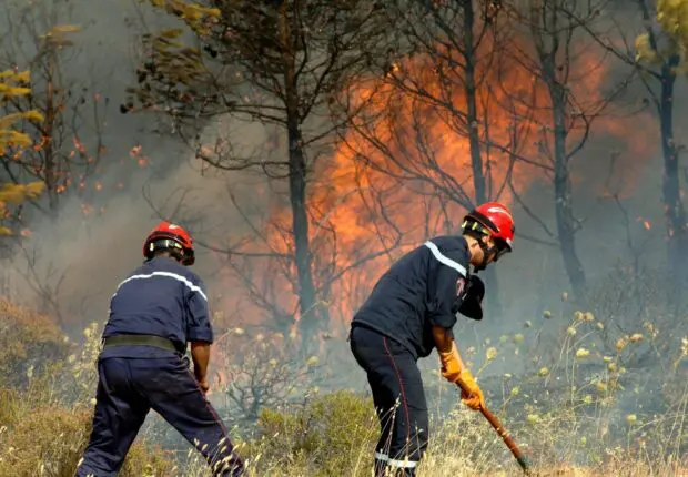 Feux déclenchés dans 7 wilayas : la Protection civile sur le qui-vive en ce début d’été