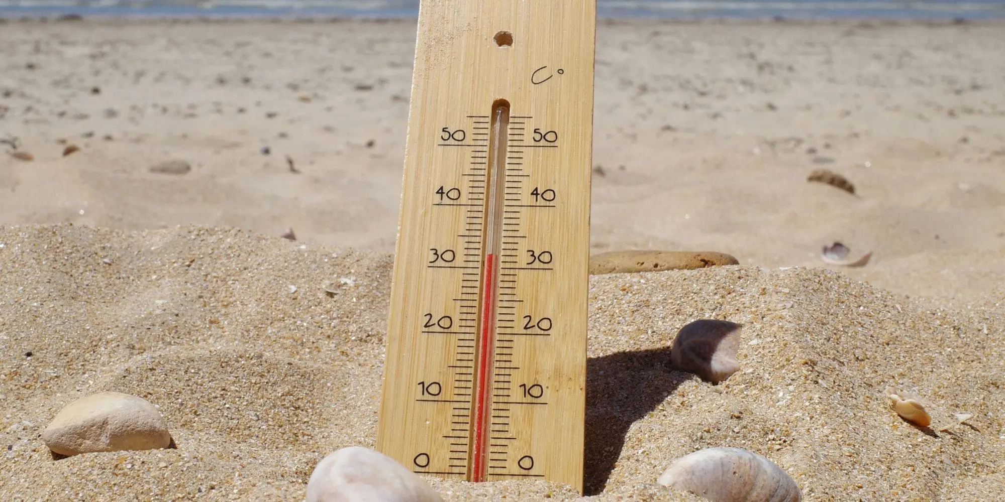 La météo en Algérie ce lundi 16 juin : forte chaleur attendue dans plusieurs régions