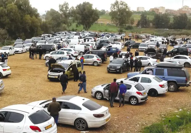 Le marché de véhicules de Tidjelabine s’agrandit et se diversifie : voici tout ce qui change