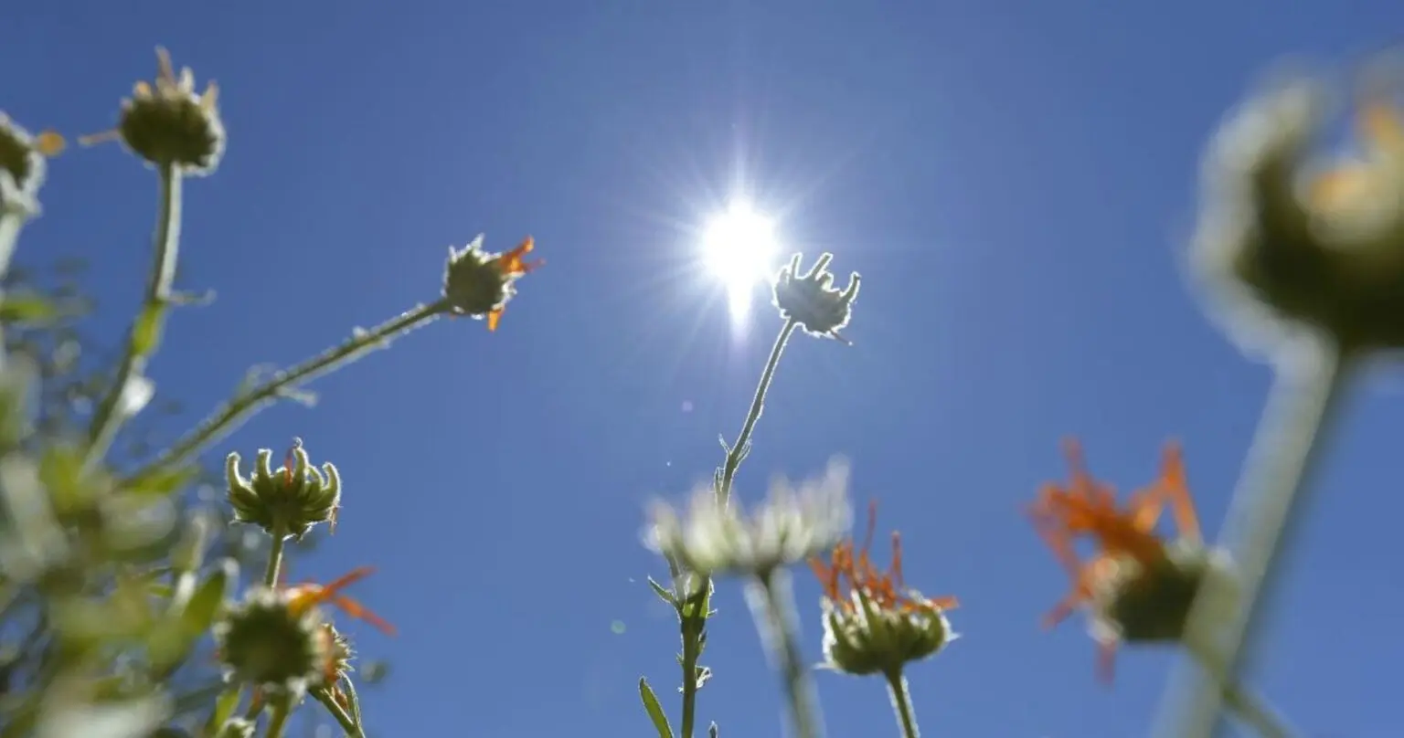 Le temps ce mercredi 11 juin : ciel dégagé ou nuageux, que disent les prévisions météo du jour ?
