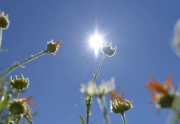 Le temps ce mercredi 11 juin : ciel dégagé ou nuageux, que disent les prévisions météo du jour ?