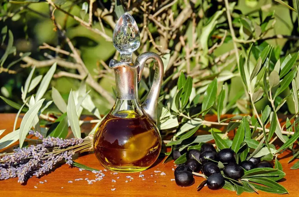 Or et argent pour l’huile d’olive algérienne : 2 marques locales couronnées en Italie