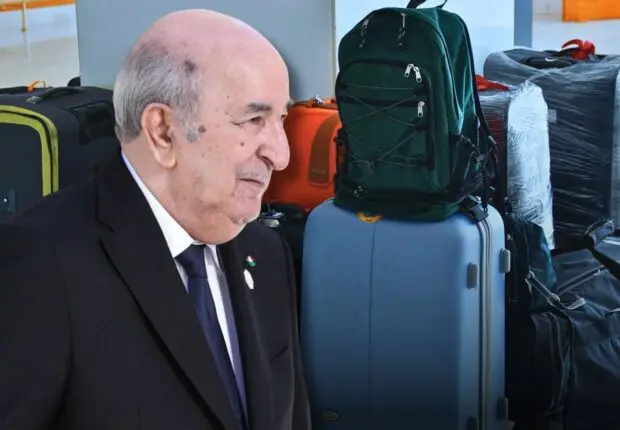 L’Algérie régularise le commerce du « cabas » : voici les conditions et règles fixées par le décret