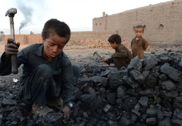 Travail des enfants : l’Algérie enregistre l’un des taux les plus bas au monde