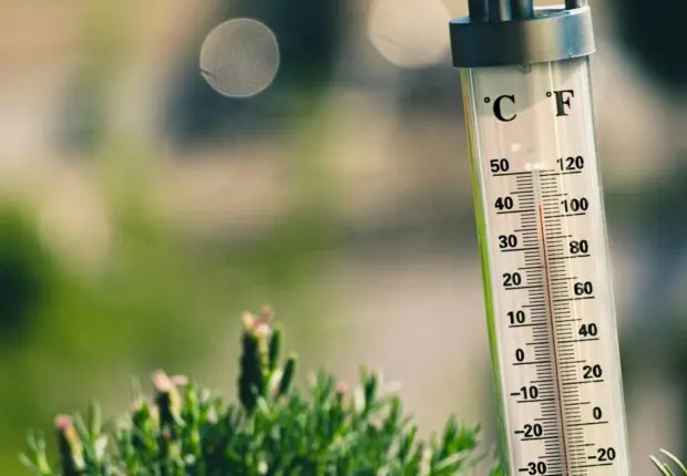 Alerte canicule : vague de chaleur extrême en Algérie dès ce lundi 9 juin, jusqu’à 44 °C attendus