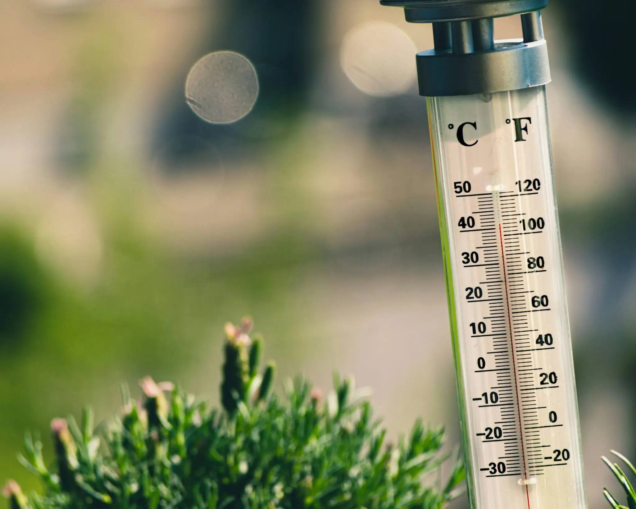 Alerte canicule : vague de chaleur extrême en Algérie dès ce lundi 9 juin, jusqu&rsquo;à 44 °C attendus