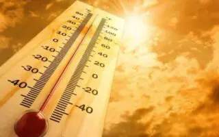 Des pics à 49°C attendus : La vague de chaleur persiste jusqu’à samedi dans plusieurs wilayas