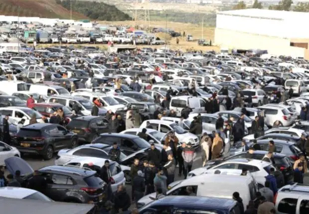 Immatriculation et revente des voitures en Algérie : ces étapes sont désormais obligatoires en 2025