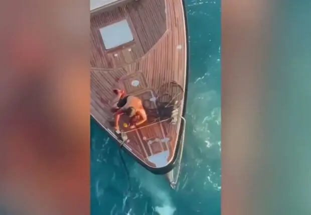 Un navire de SONATRACH sauve un ressortissant français au large de l’Italie (vidéo)