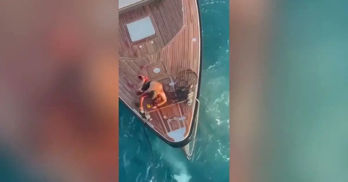 Un navire de SONATRACH sauve un ressortissant français au large de l’Italie (vidéo)