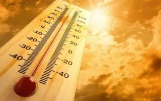 BMS – Canicule : Jusqu’à 49°C dans 12 wilayas ces 23 et 24 août