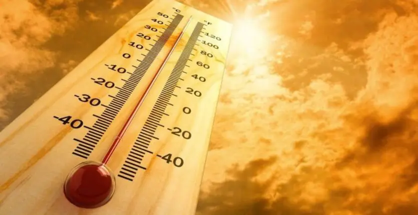 BMS – Canicule : Jusqu’à 49°C dans 12 wilayas ces 23 et 24 août