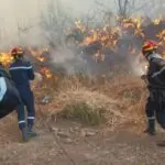 Le mercure frôle les 50°C : La Protection civile rappelle tous ses agents en urgence dans 44 wilayas