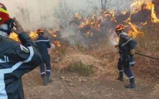 Le mercure frôle les 50°C : La Protection civile rappelle tous ses agents en urgence dans 44 wilayas
