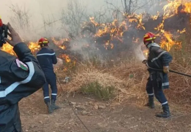 Alger, Béjaïa, Tizi Ouzou… l’Algérie lutte contre une vague d’incendies dans 9 wilayas