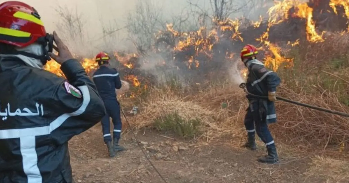 Alger, Béjaïa, Tizi Ouzou… l’Algérie lutte contre une vague d’incendies dans 9 wilayas