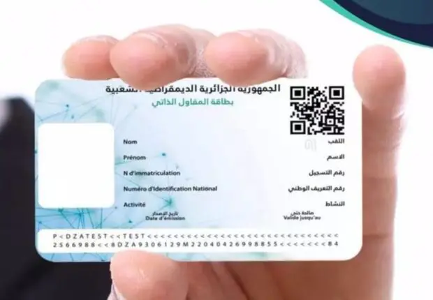 Commerce du « cabas » : l’ANAE ouvre les inscriptions à la carte officielle d’auto-importateur