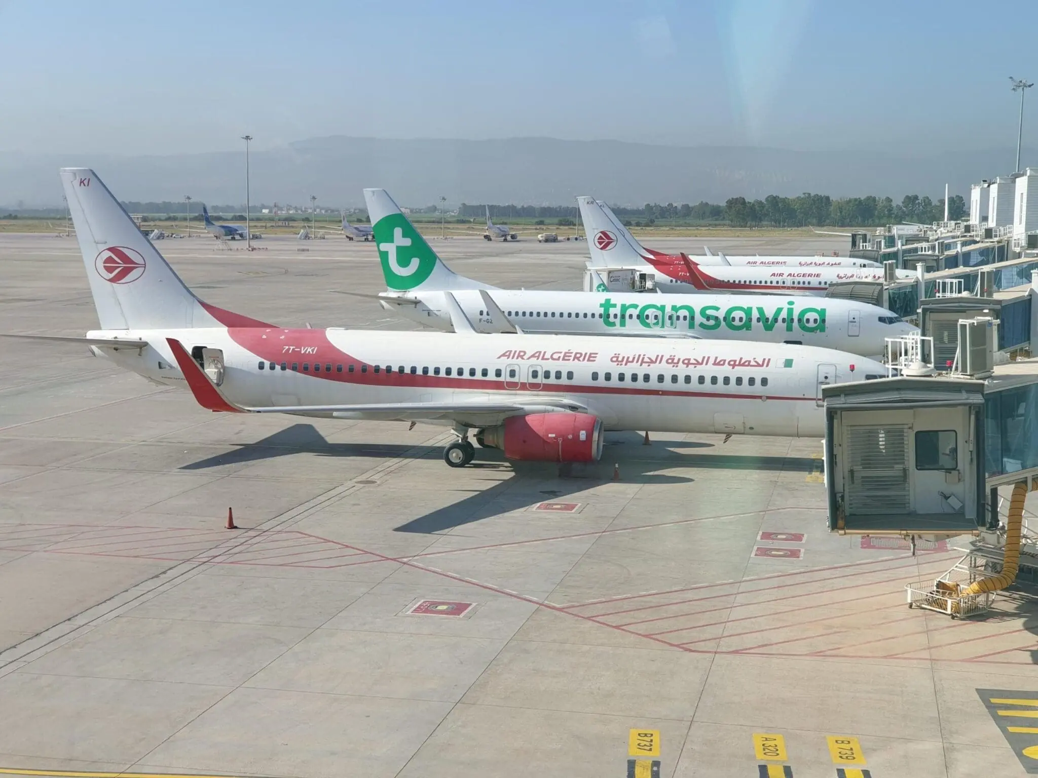 Grève des contrôleurs aériens en France : Air Algérie annule plusieurs vols
