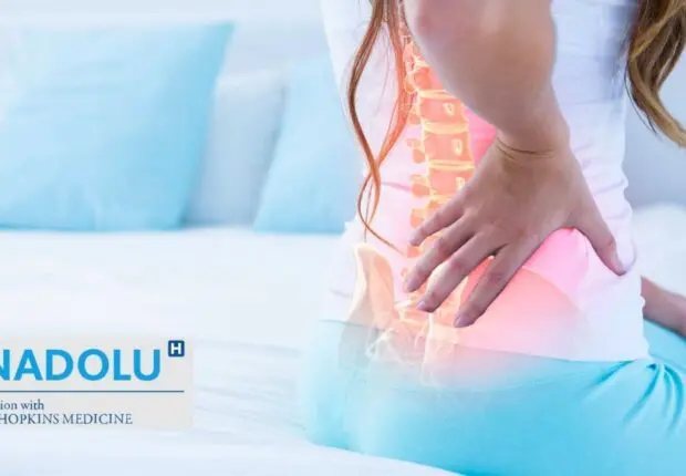 Soulager le mal de dos : Identifier les raisons de la douleur et trouver des remèdes