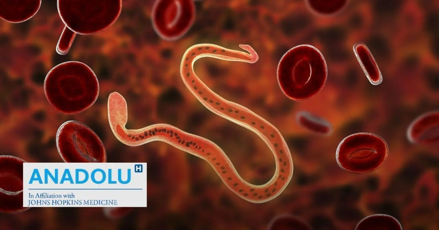 Attention aux parasites ! Repérez les signes de leur présence dans votre corp