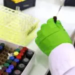 Algérie : ouverture de la première clinique de thérapie cellulaire du pays