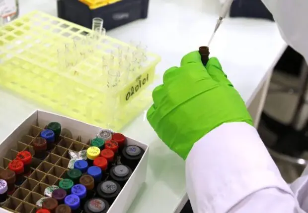 Algérie : ouverture de la première clinique de thérapie cellulaire du pays