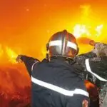 Feux de forêts en Algérie : la « prison à vie » pour les fautifs en 2025