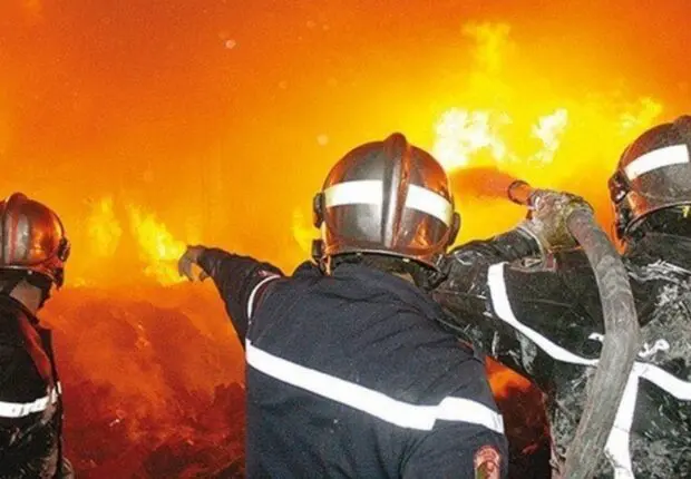 Feux de forêts en Algérie : la « prison à vie » pour les fautifs en 2025