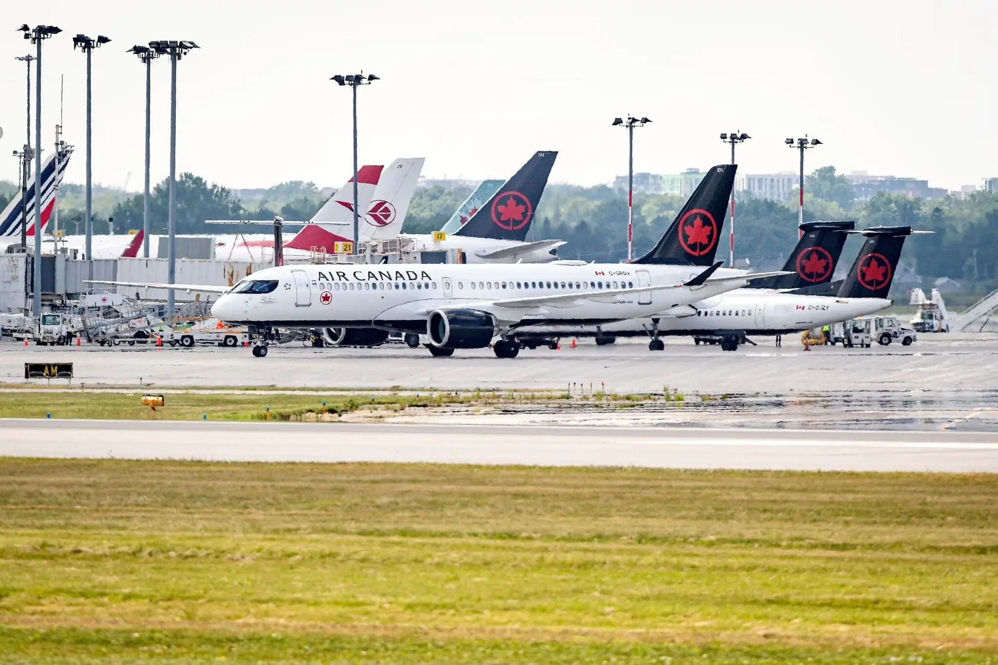 Vols Montréal – Alger : les avions d’Air Canada cloués au sol par une grève importante