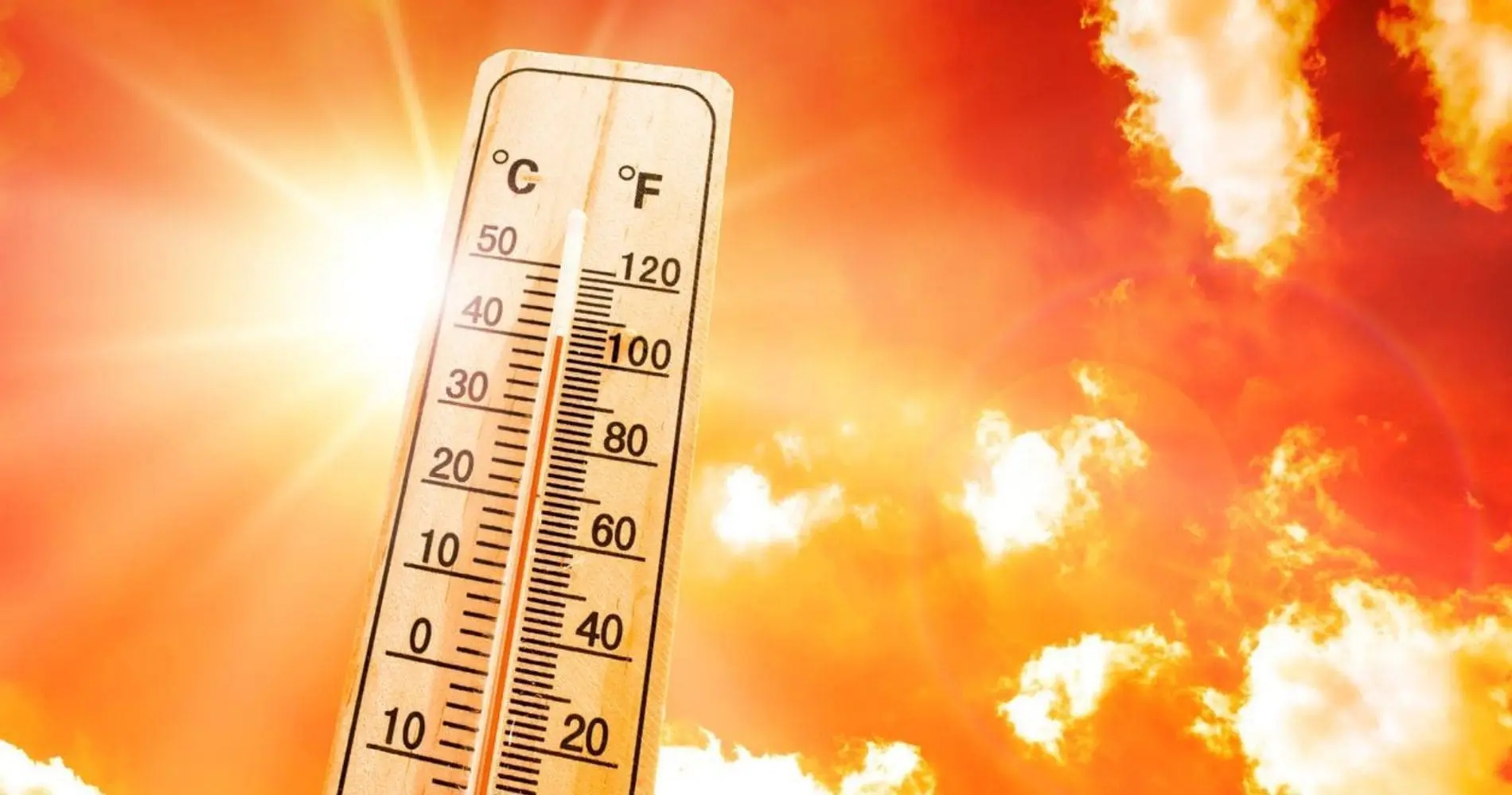 BMS – Météo Algérie : vigilance « orange » pour canicule dans ces wilayas ce jeudi 7 août !