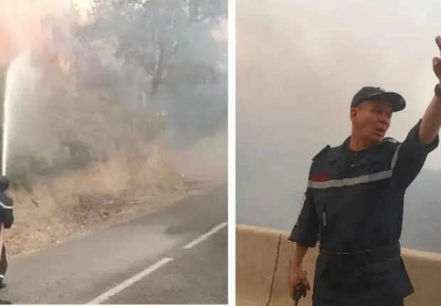 Chréa en flammes : la Protection civile en alerte maximale, la population appelée à s’éloigner