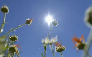 Quel temps vous attend ce mardi 5 août ? Découvrez les prévisions météo du jour !