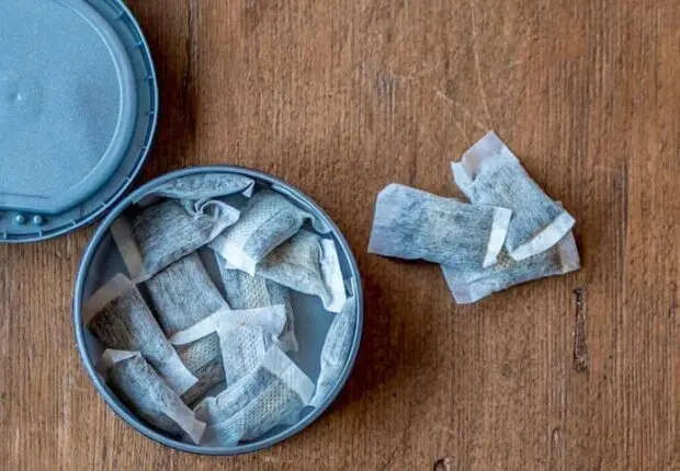 Du snus aux sachets de nicotine : un succès confirmé pour la santé publique
