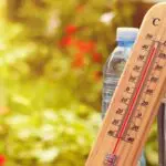 Météo Algérie : chaleur intense, orages et vents forts annoncés pour ce dimanche 10 août