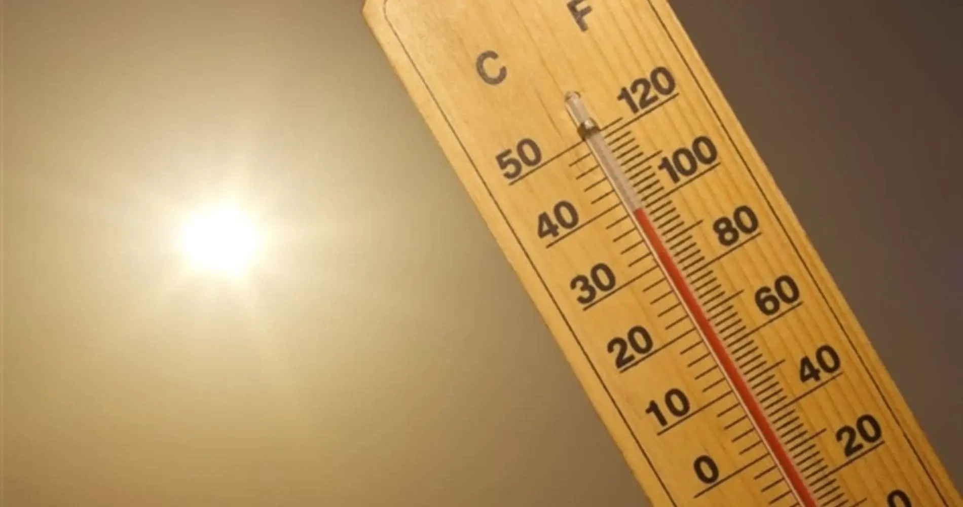Forte canicule en Algérie : des températures exceptionnellement élevées annoncées ce mardi 19 août