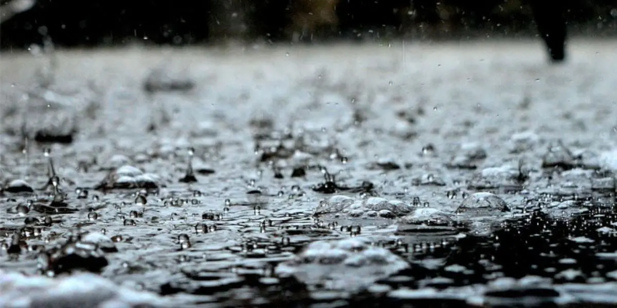 Alerte Météo en Algérie : un épisode orageux attendu ce week-end