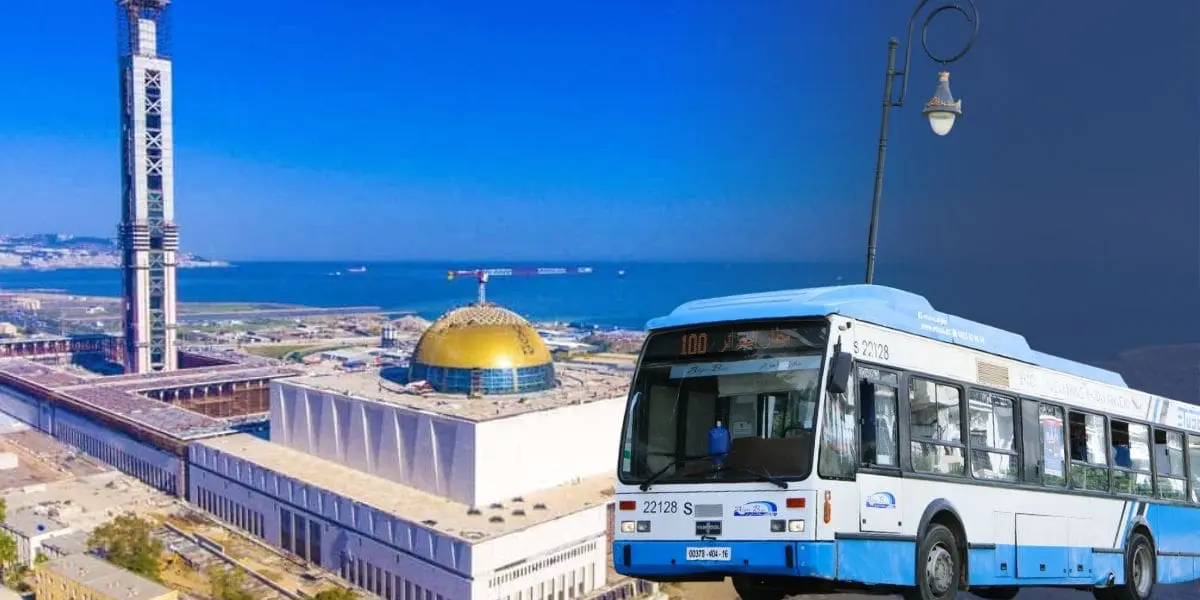 ETUSA : Lancement de lignes de bus directes vers le Grand Mosquée d’Alger