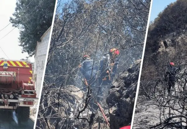 Feux de forêts en Algérie : plusieurs incendies déclarés à travers tout le pays