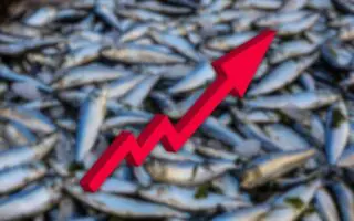 La sardine atteint un record de 1800 dinars le kilo : du poisson populaire au produit de luxe ?